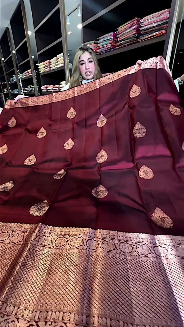 icultural Wine Soft Silk Saree With Evocative Blouse Piece
