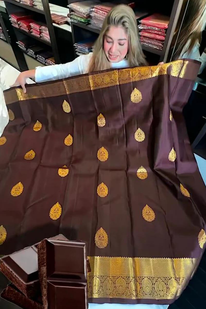 icultural Brown Soft Banarasi Silk Saree With Prominent Blouse Piece
