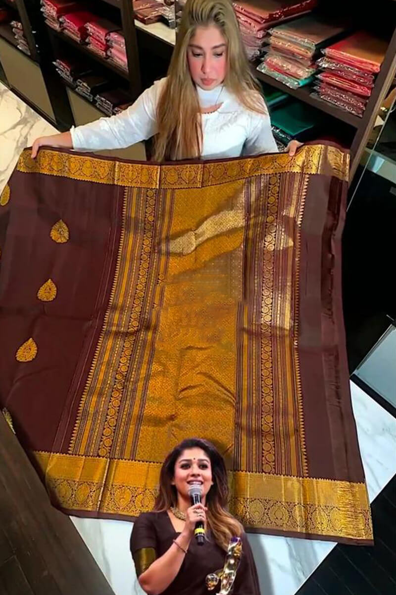 icultural Brown Soft Banarasi Silk Saree With Prominent Blouse Piece