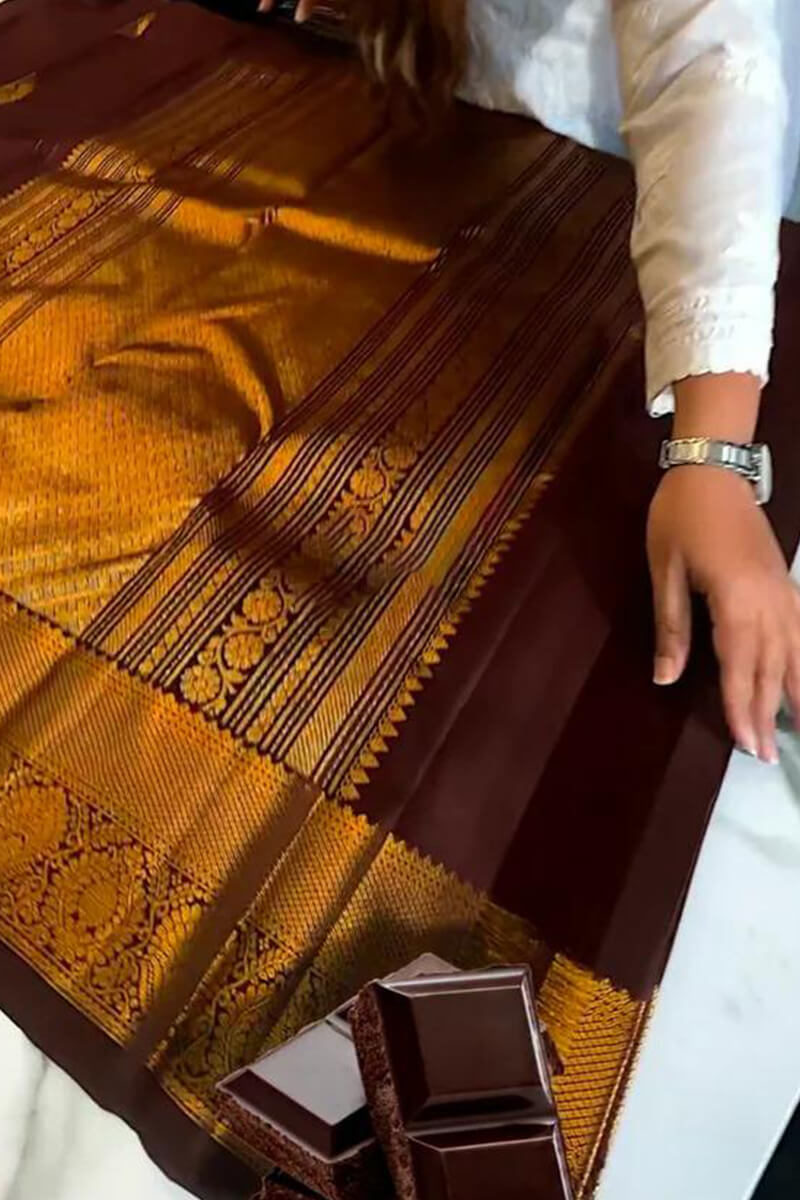 icultural Brown Soft Banarasi Silk Saree With Prominent Blouse Piece
