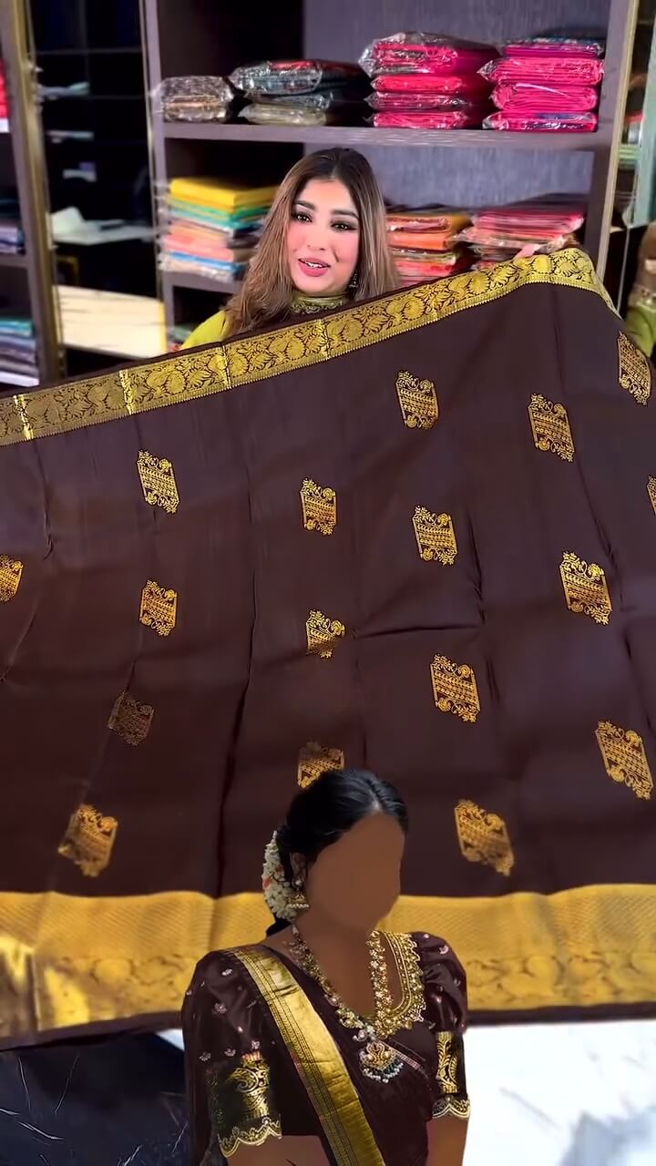 Woebegone Brown Soft Banarasi Silk Saree With icultural Blouse Piece