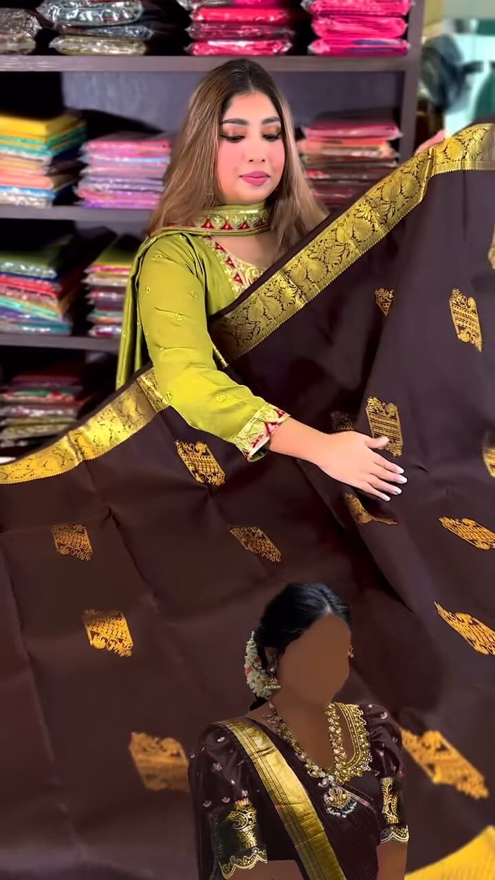 Woebegone Brown Soft Banarasi Silk Saree With icultural Blouse Piece