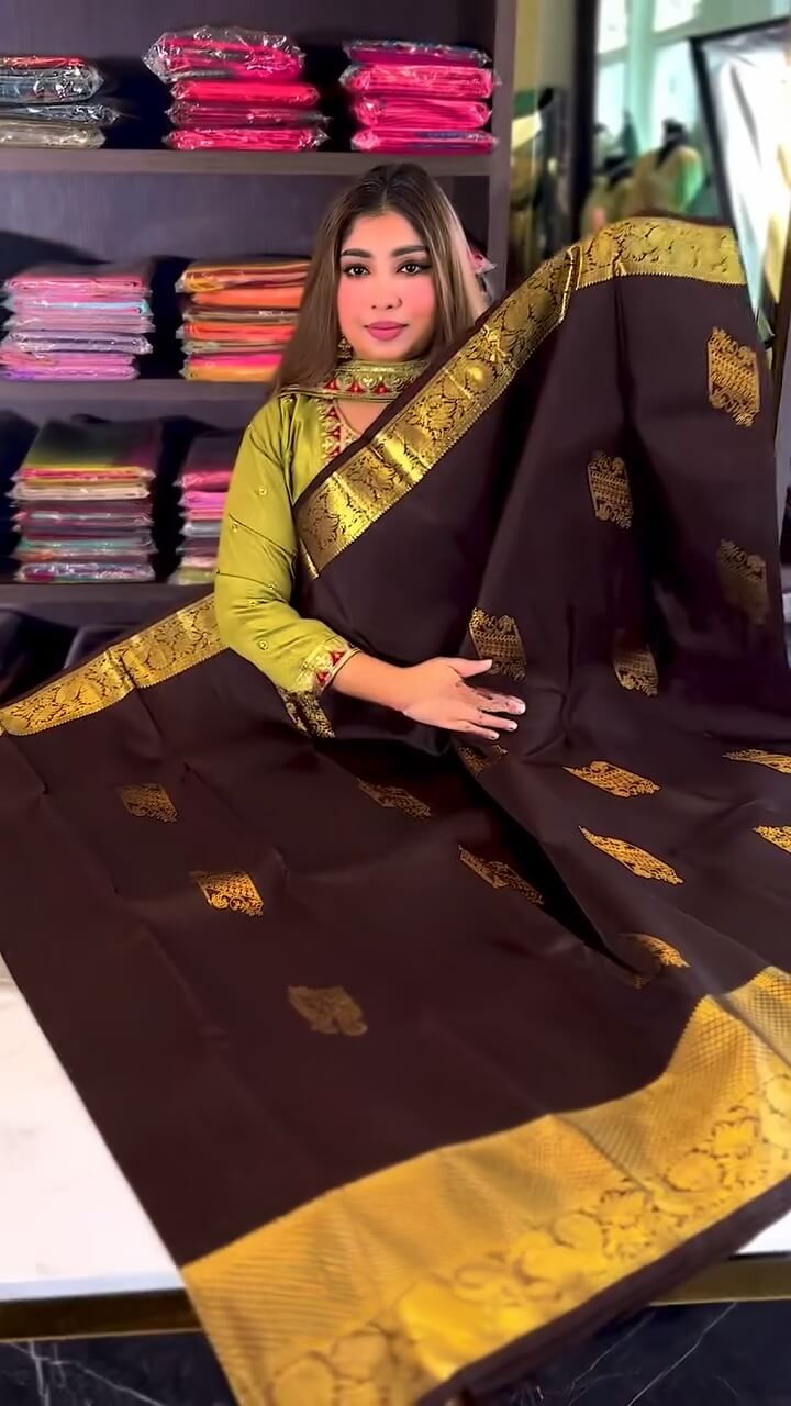 Woebegone Brown Soft Banarasi Silk Saree With icultural Blouse Piece