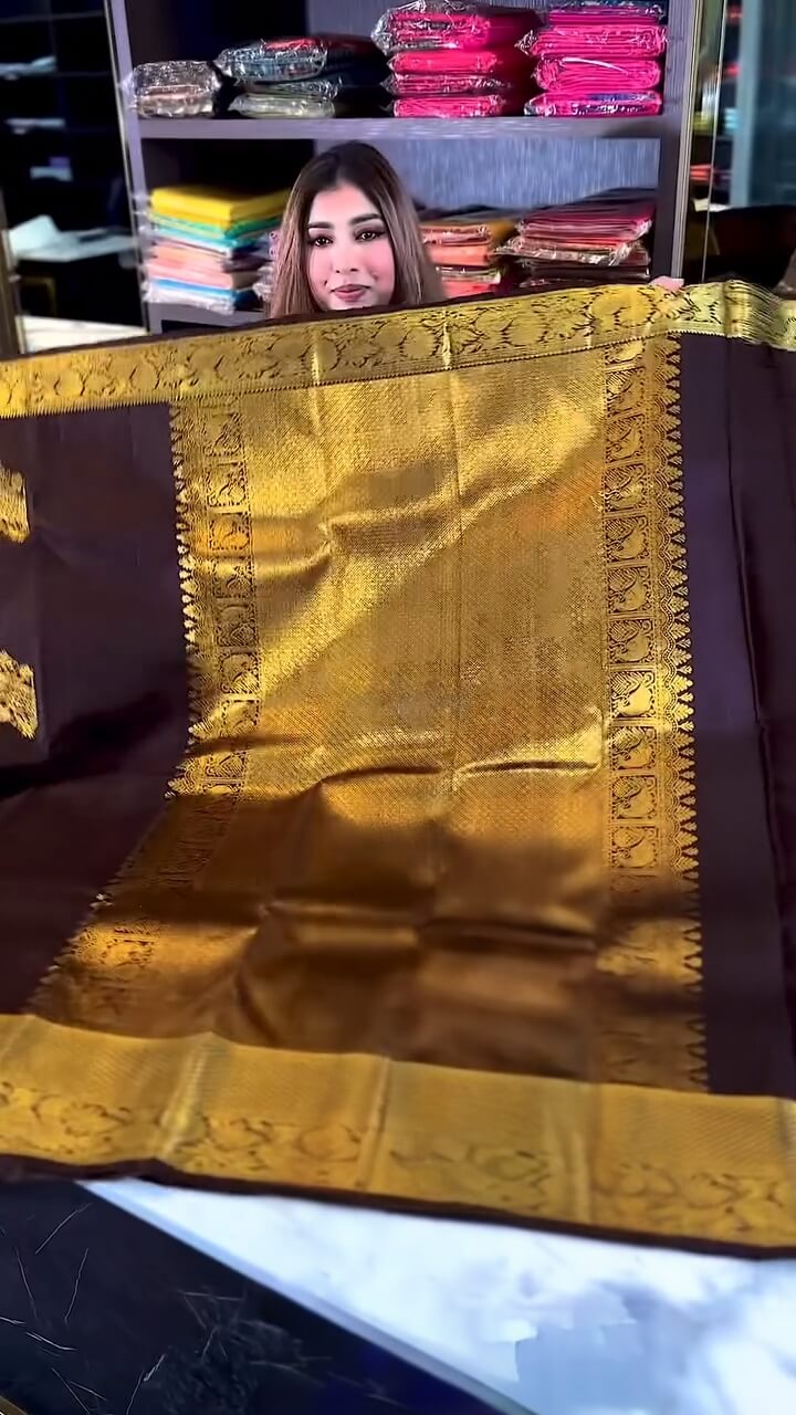 Woebegone Brown Soft Banarasi Silk Saree With icultural Blouse Piece