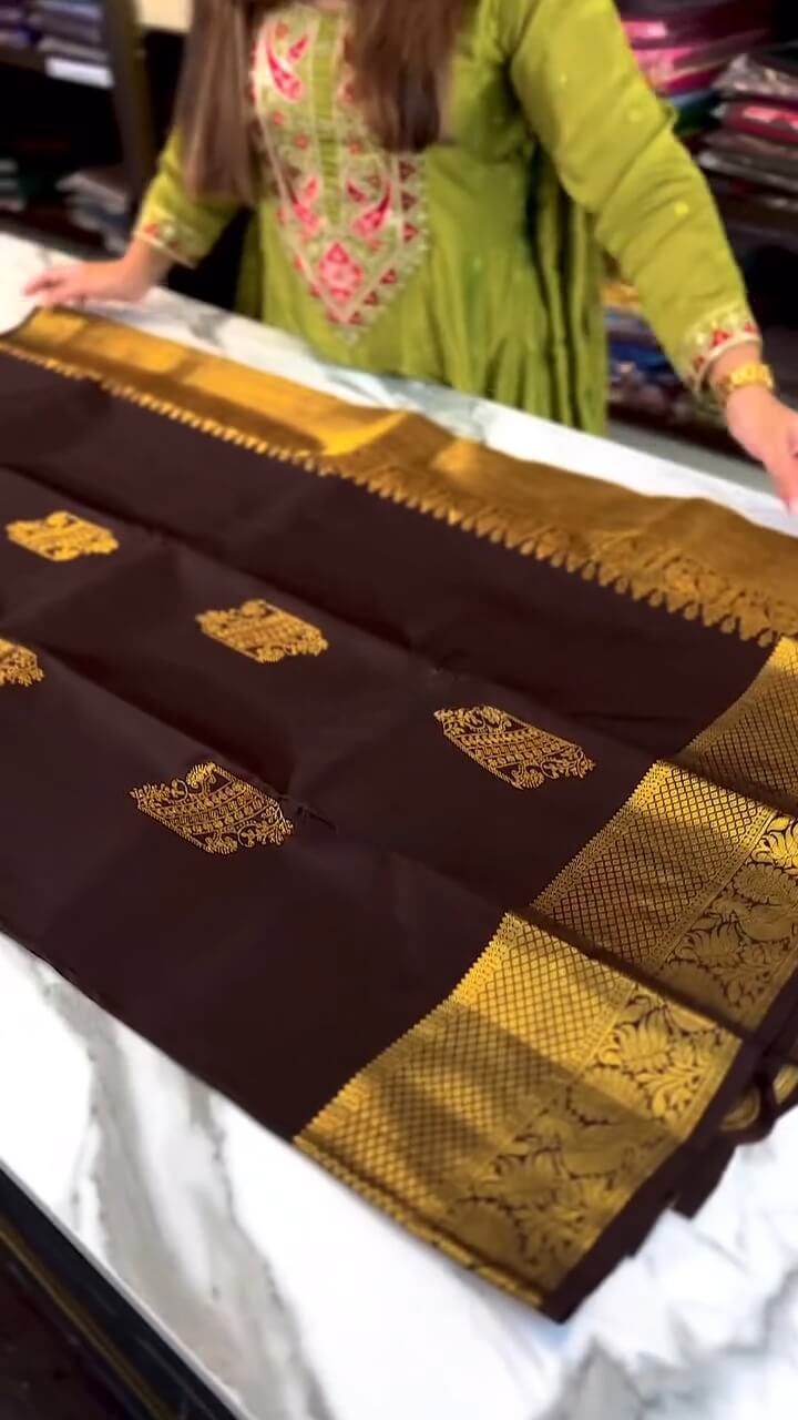 Woebegone Brown Soft Banarasi Silk Saree With icultural Blouse Piece