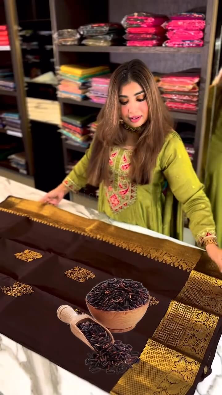 Woebegone Brown Soft Banarasi Silk Saree With icultural Blouse Piece