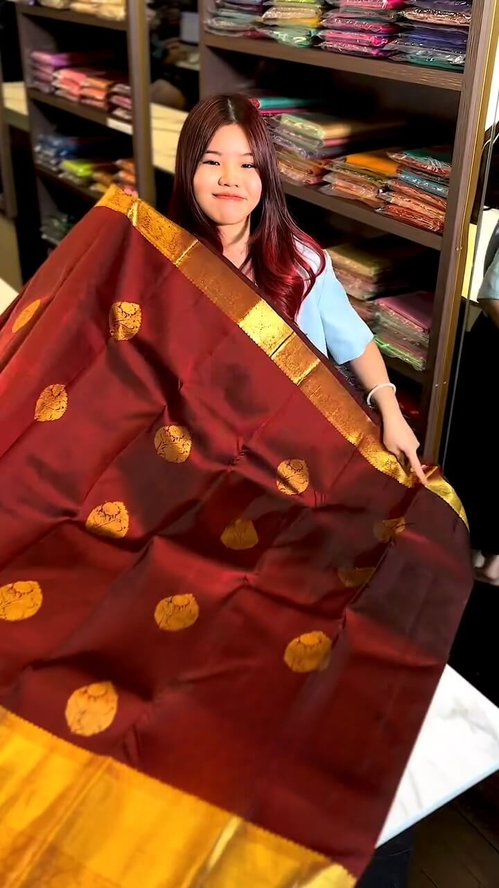 Moiety icultural Soft Banarasi Silk Saree With Traditional Blouse Piece