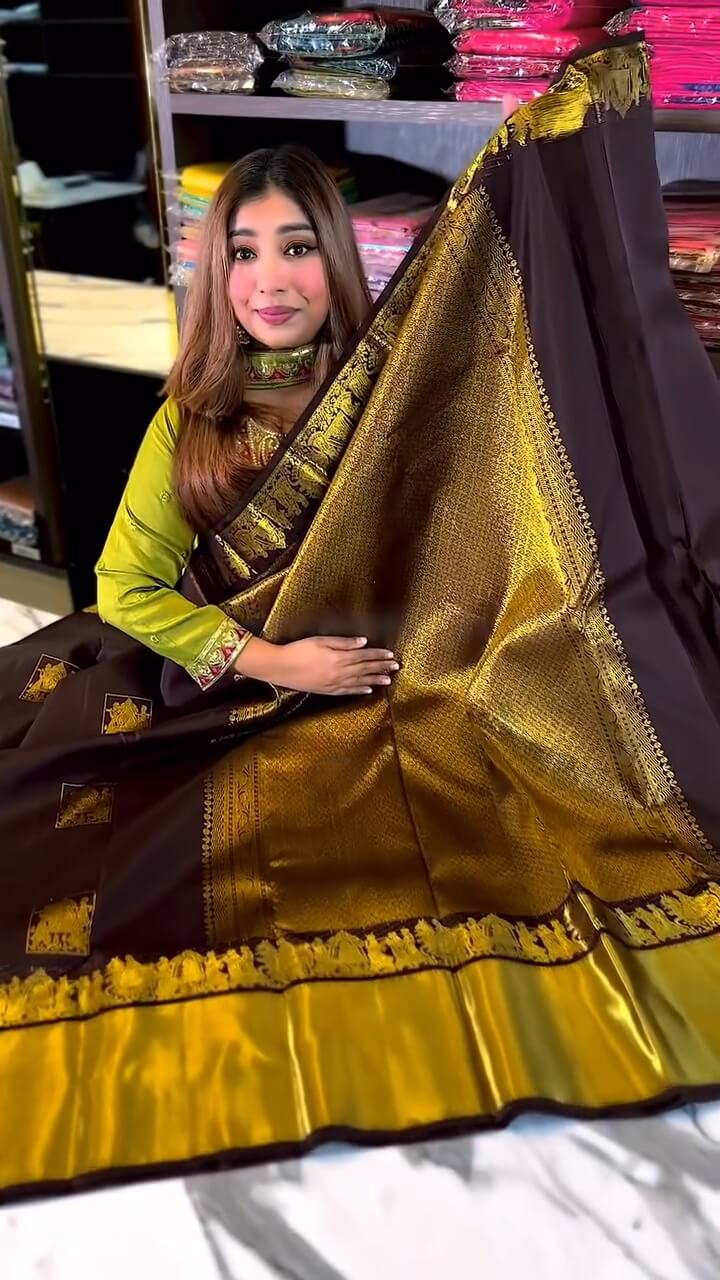 icultural Brown Soft Banarasi Silk Saree With Snappy Blouse Piece