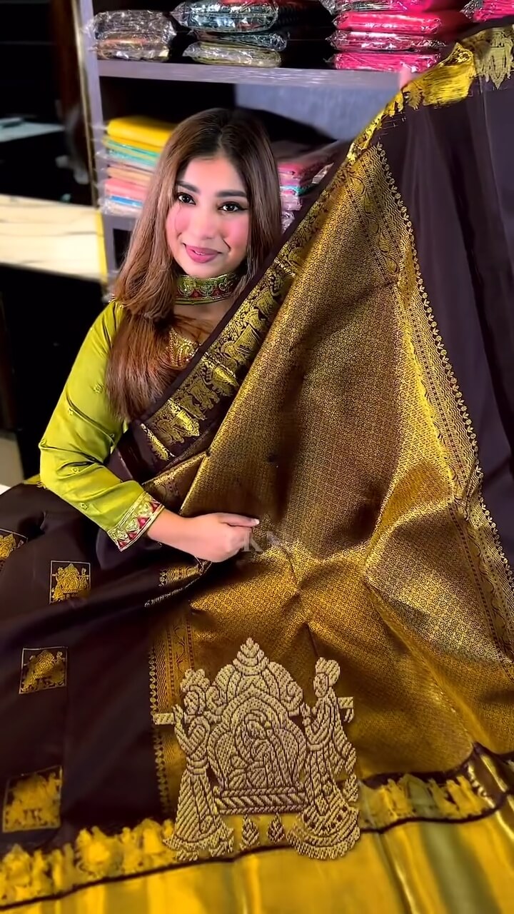 icultural Brown Soft Banarasi Silk Saree With Snappy Blouse Piece