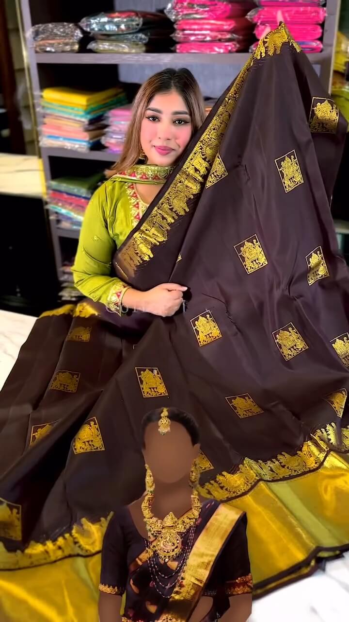 icultural Brown Soft Banarasi Silk Saree With Snappy Blouse Piece