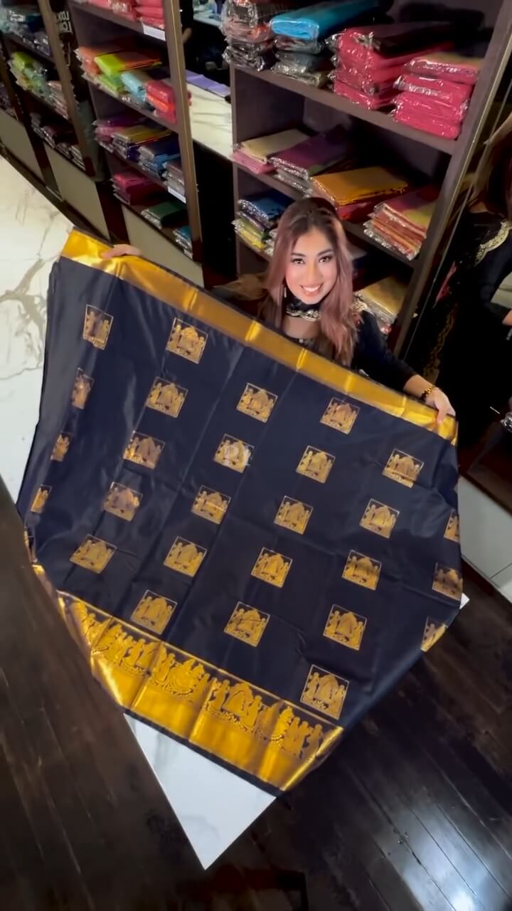 icultural Navy Blue Soft Banarasi Silk Saree With Petrichor Blouse Piece