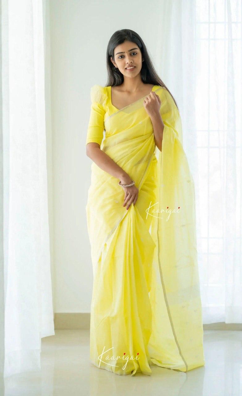 icultural Yellow Sheer Organza Saree