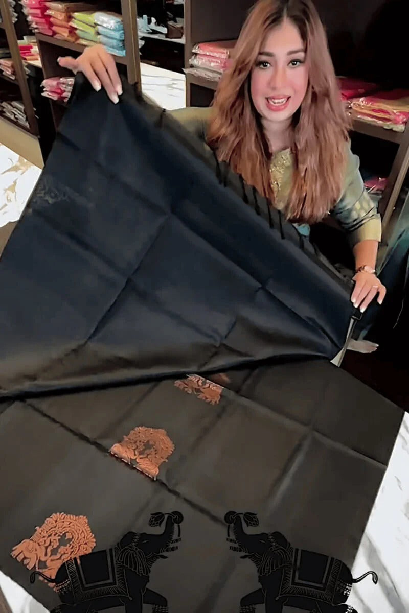 Black Soft Silk Saree with Jacquard Woven Motifs