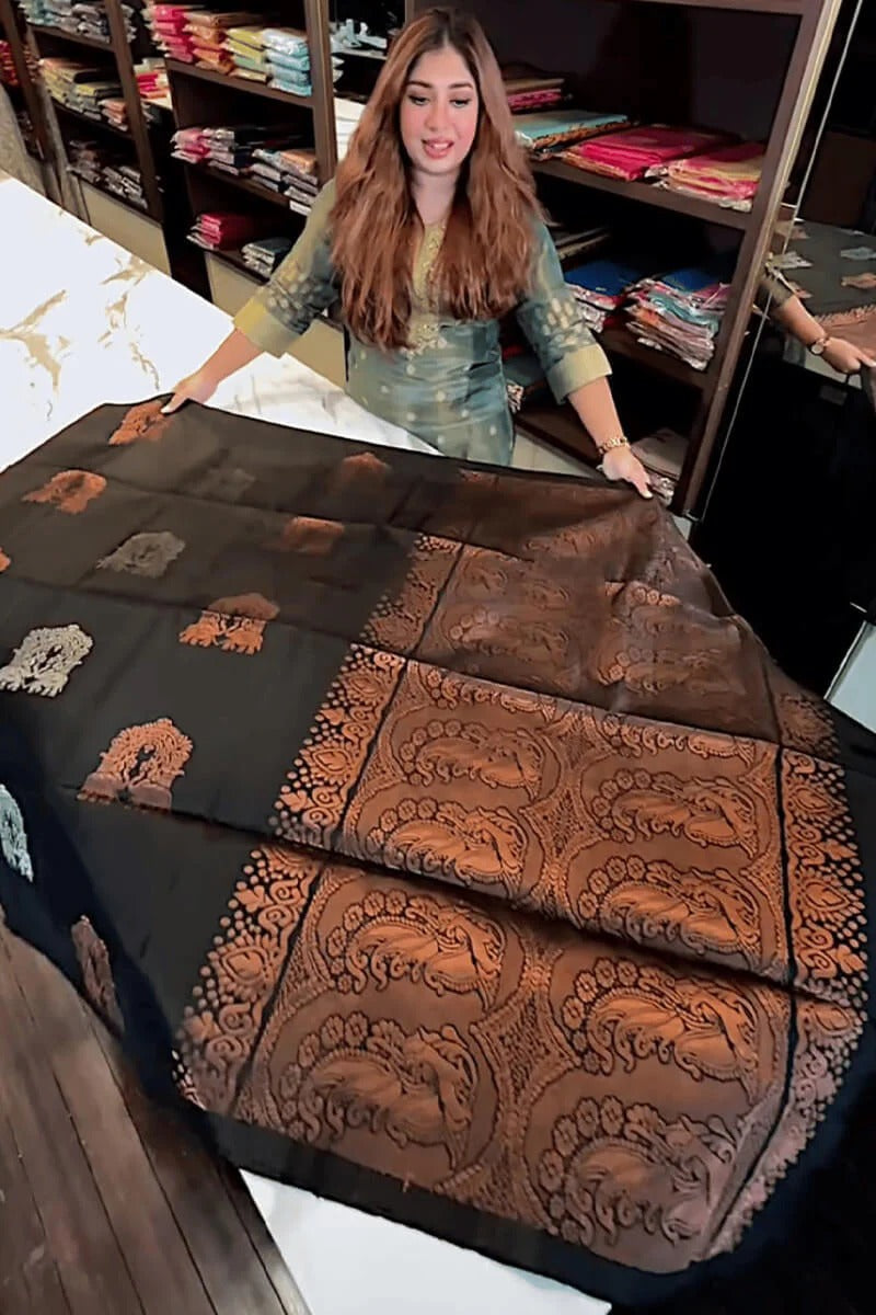Black Soft Silk Saree with Jacquard Woven Motifs