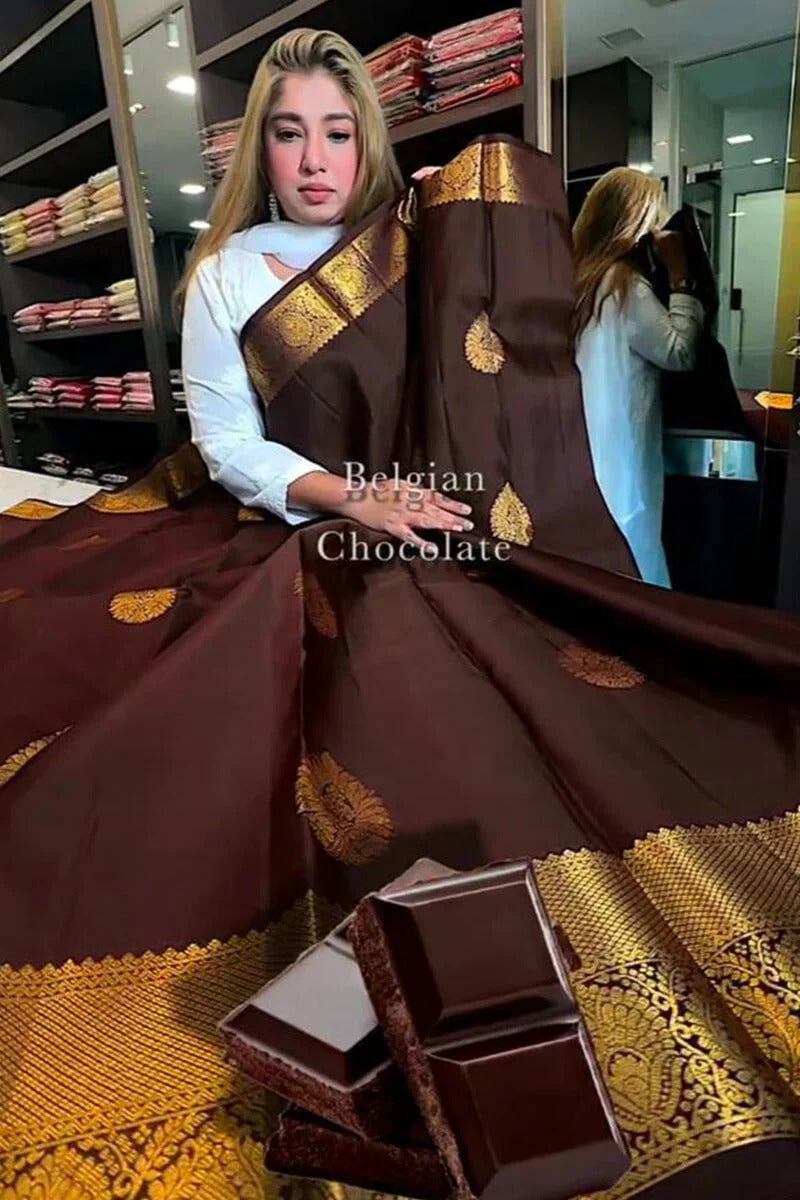 Brown Soft Silk Saree with Jacquard Woven Motifs