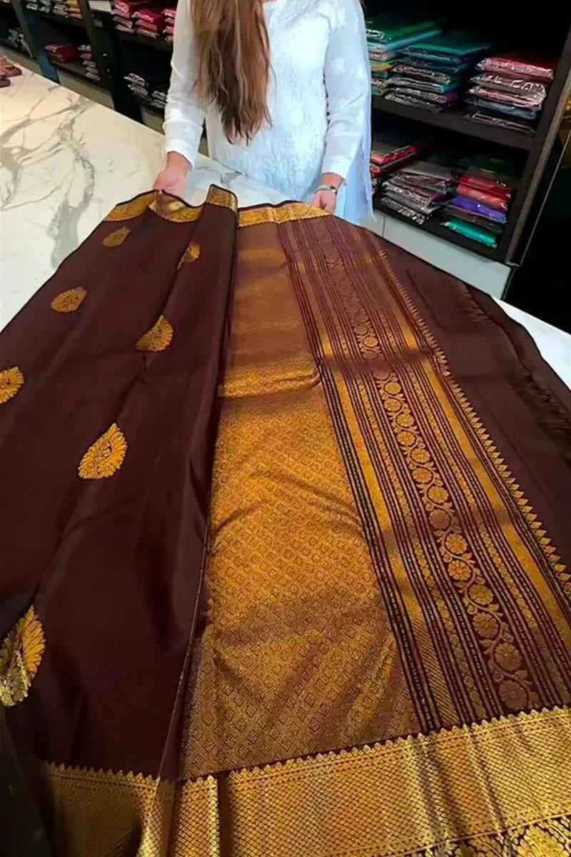 Brown Soft Silk Saree with Jacquard Woven Motifs