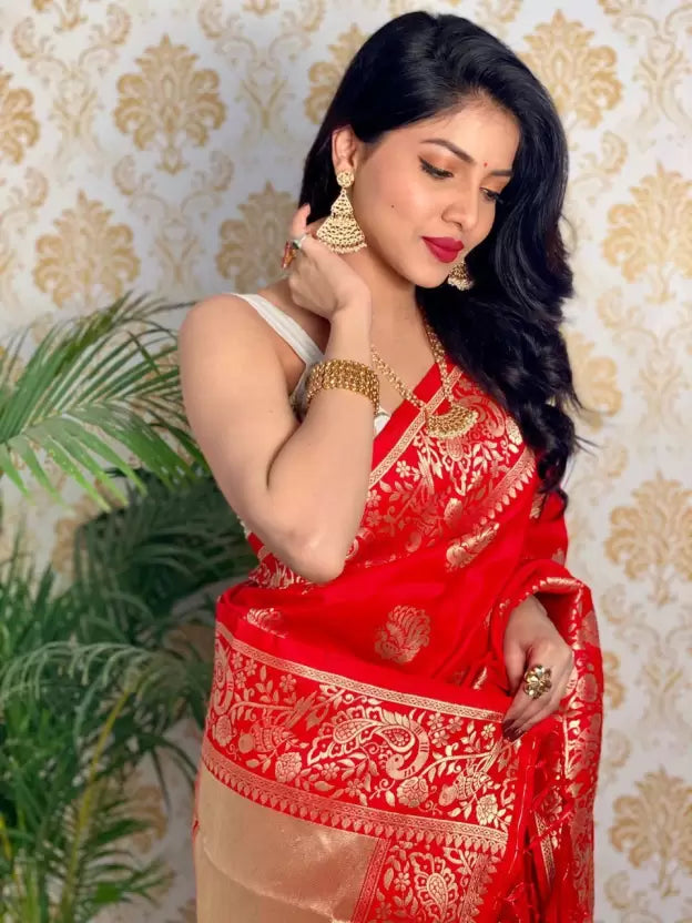 Red Pure Silk Paithani Heavy Brocade by Icultuer