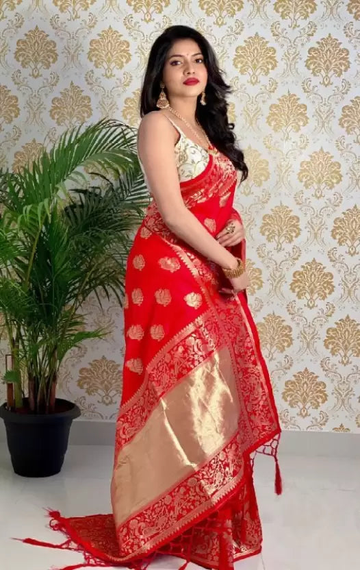Red Pure Silk Paithani Heavy Brocade by Icultuer