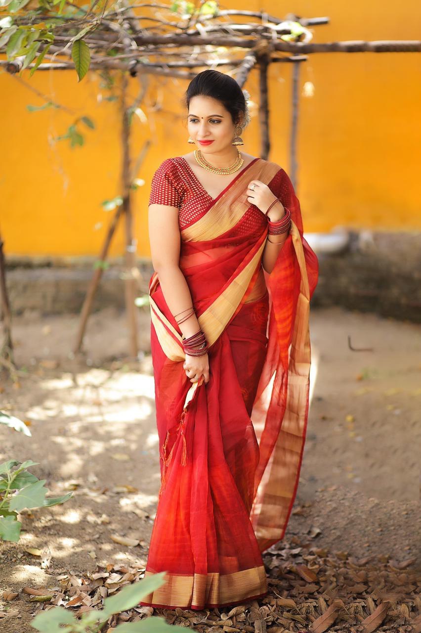 Red Satin Banglori Soft Organza by Icultuer for Women
