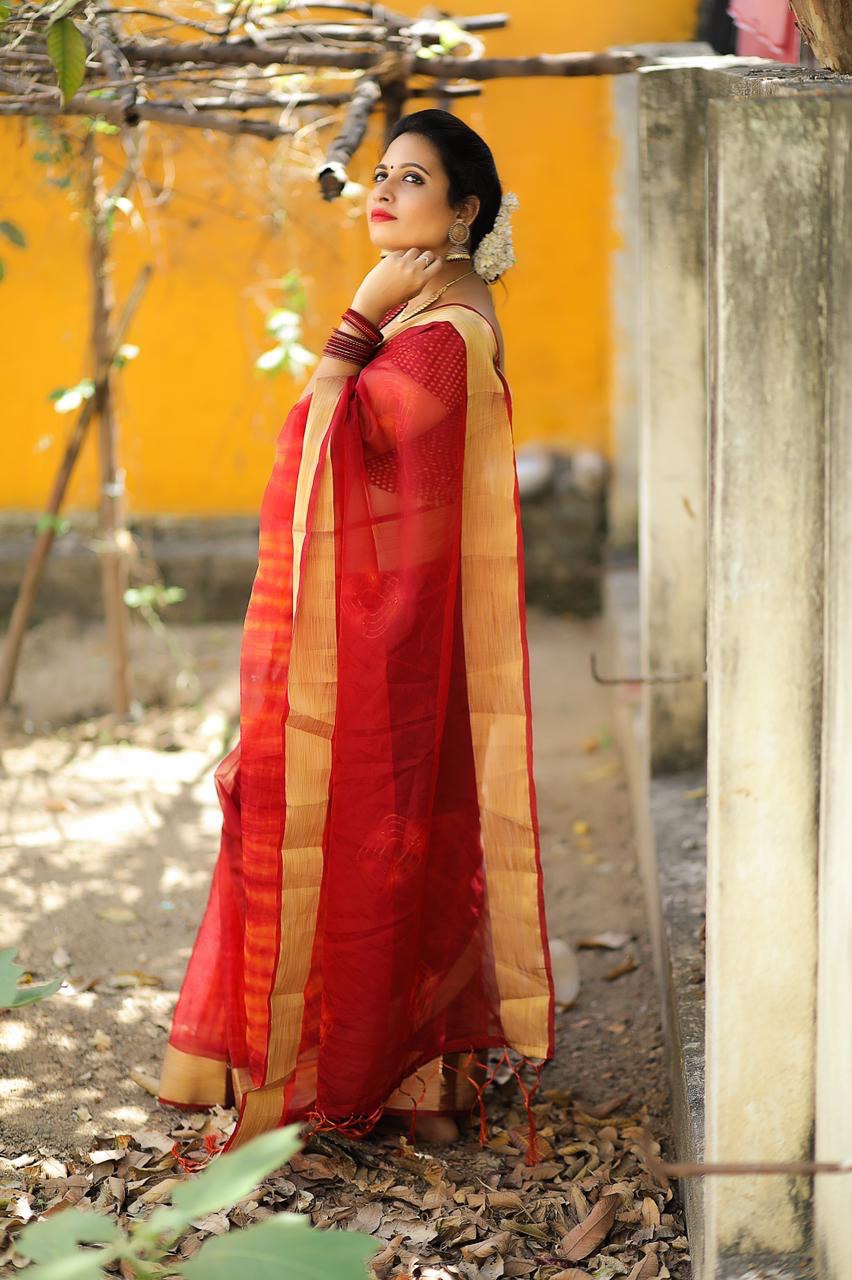 Red Satin Banglori Soft Organza by Icultuer for Women
