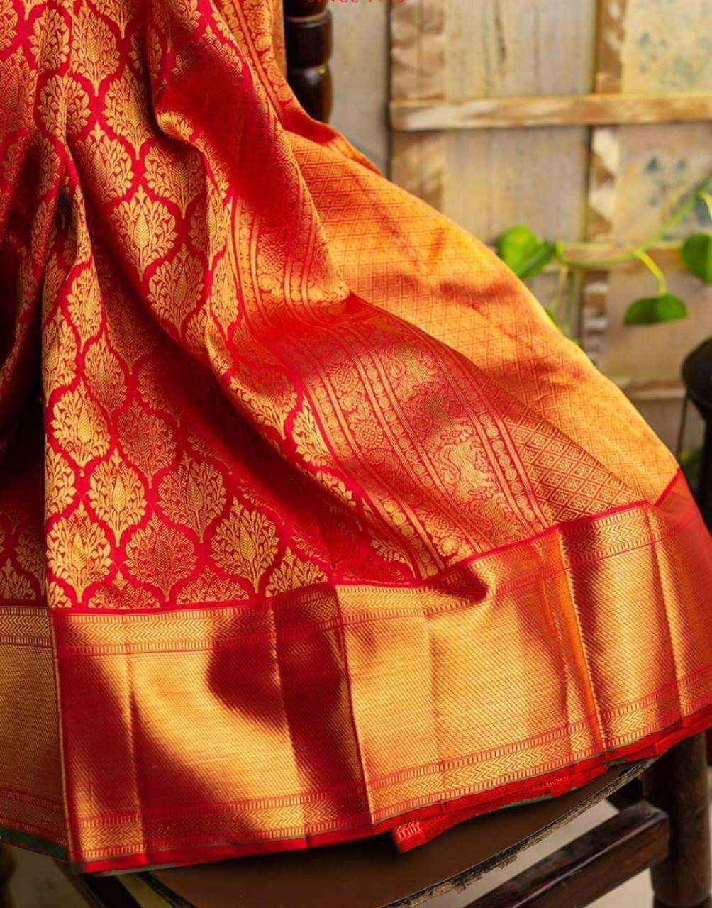 Golden Zari Border Kanjivaram Soft Silk Banarasi by Icultuer