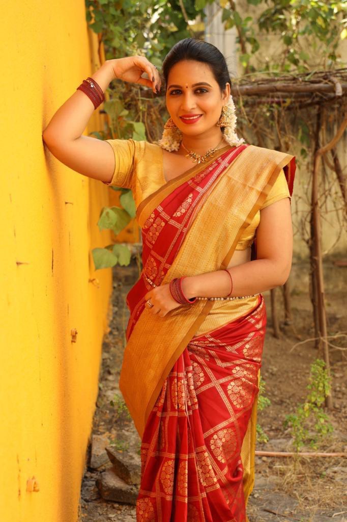 Red Georgette Ruffle Banarasi Silk by Icultuer