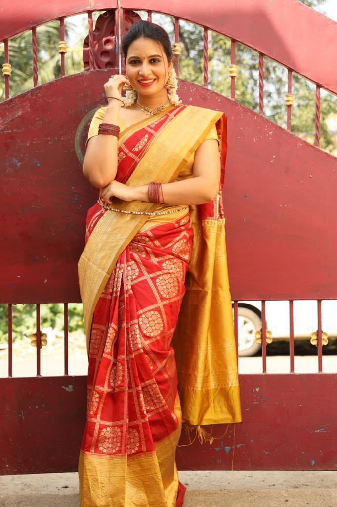 Red Georgette Ruffle Banarasi Silk by Icultuer