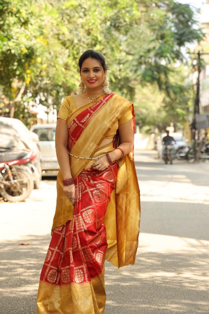 Red Georgette Ruffle Banarasi Silk by Icultuer