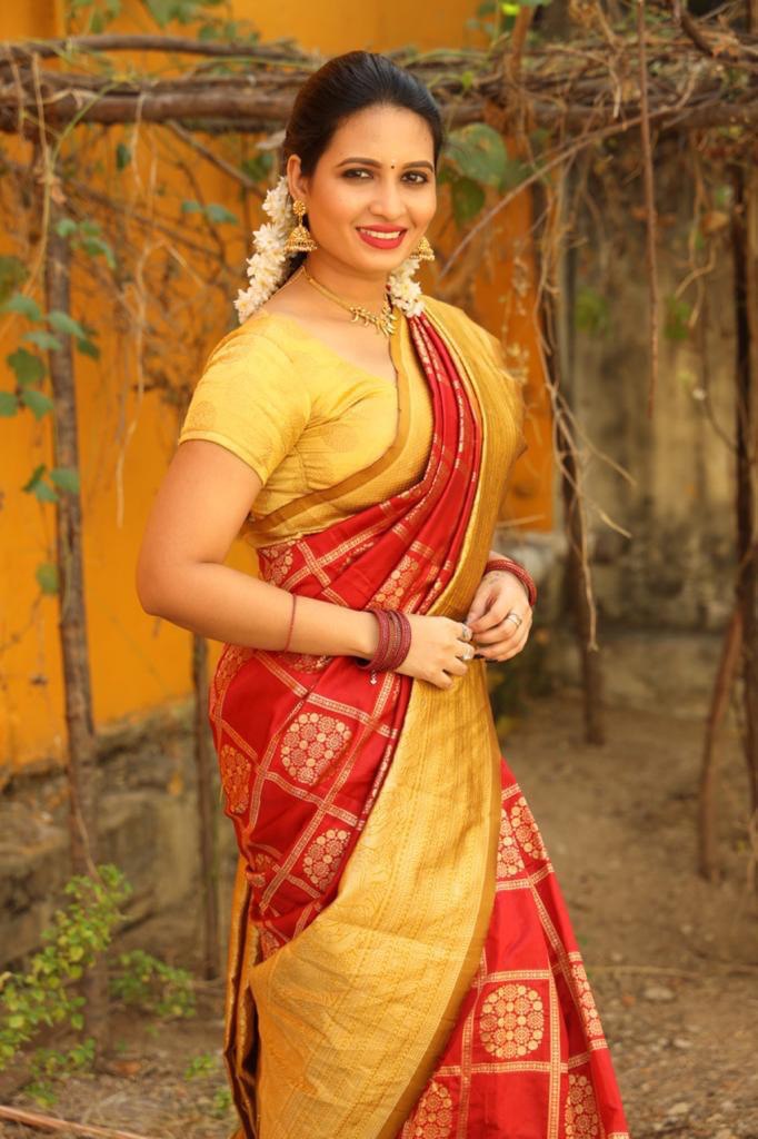Red Georgette Ruffle Banarasi Silk by Icultuer