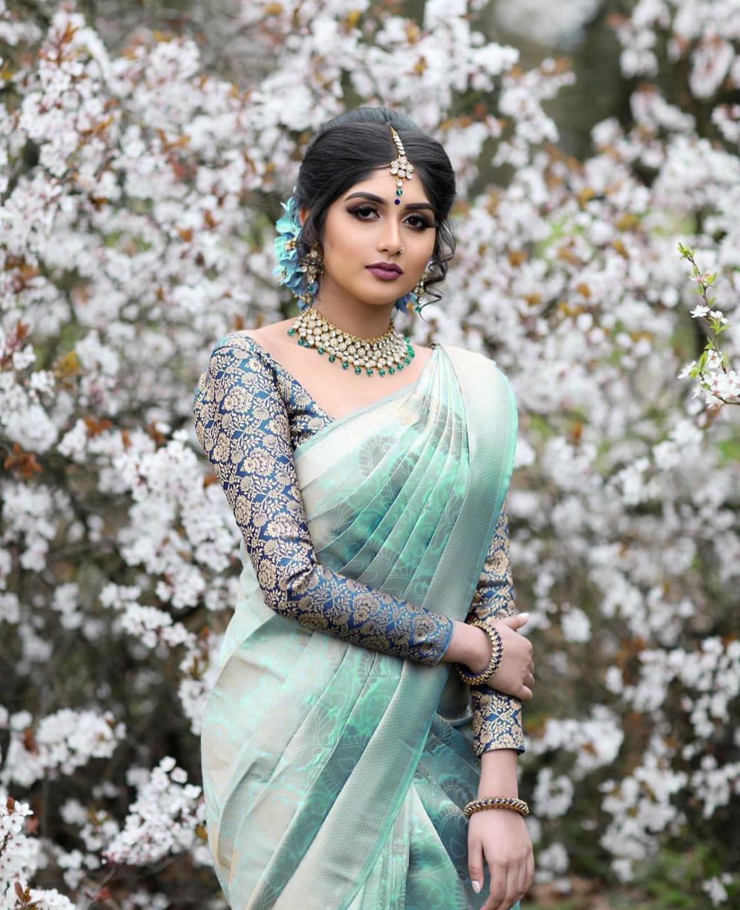 Kanchi Pattu Kanchipuram Silk by Icultuer With Blouse