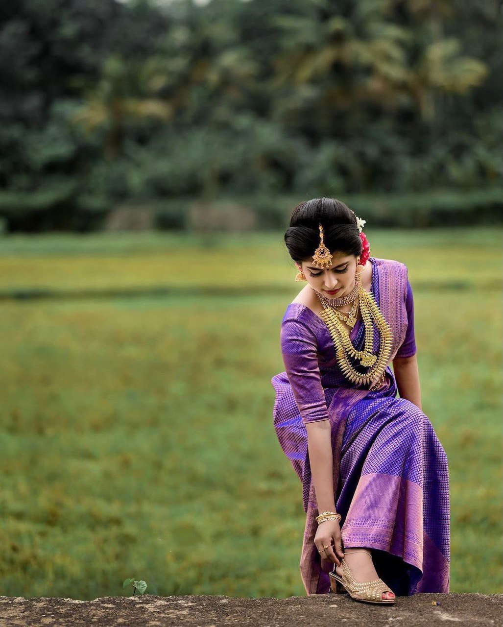 Wedding Wear Fully Zari Weaving Kanjivaram Soft Silk by Icultuer