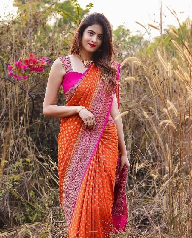 Casual Wear Golden Zari Woven Kanjivaram Soft Silk by Icultuer