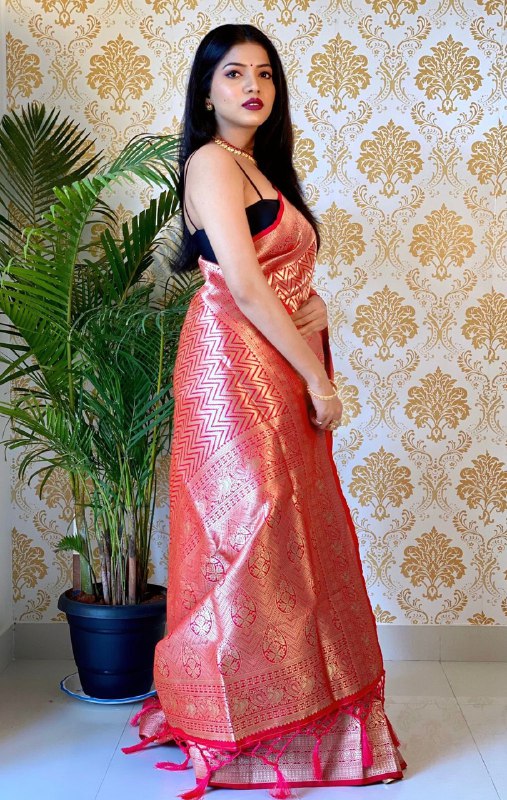 Heavy Zari Weaving Soft Silk Banarasi Jacquard by Icultuer