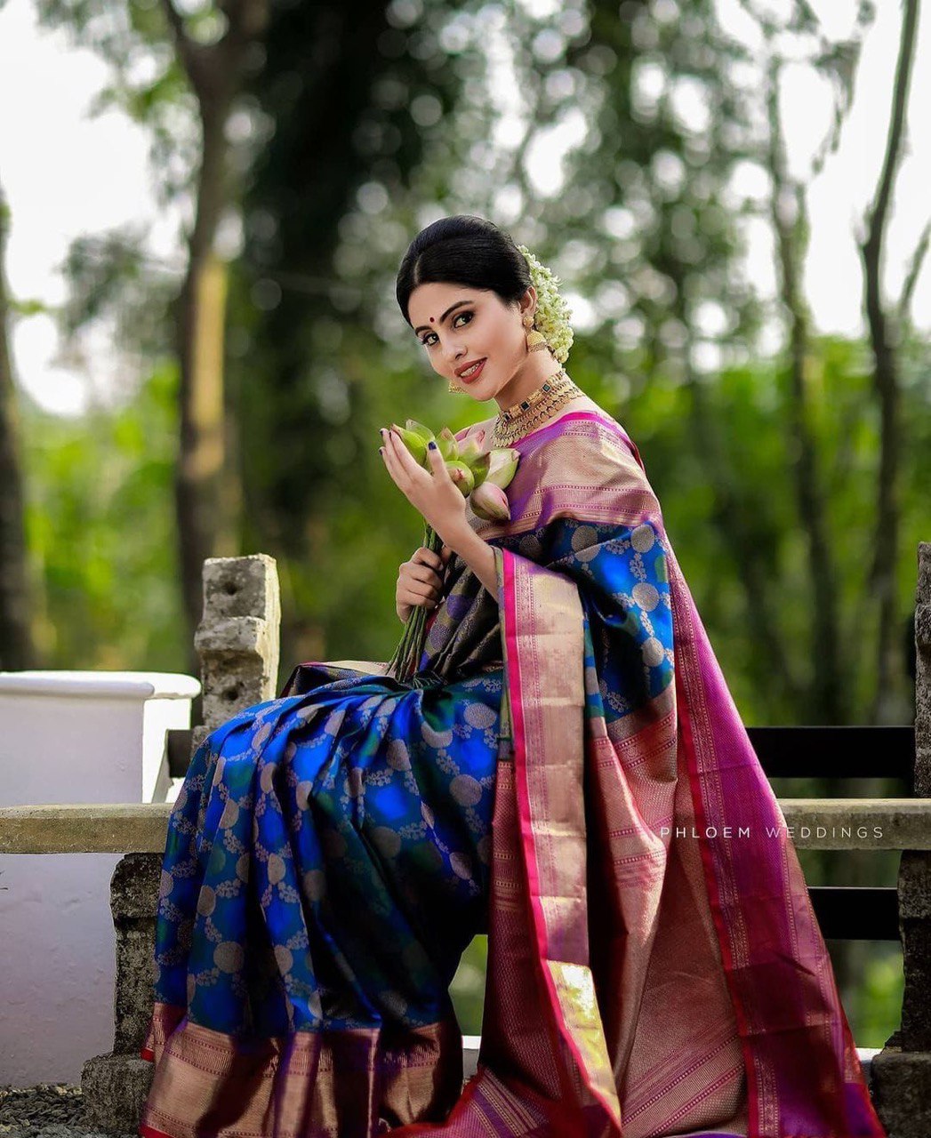 Party Wear Zari Weaving Kanjivaram Soft Silk Jacquard by Icultuer