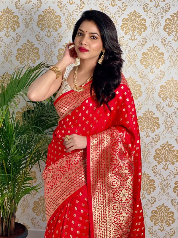 Heavy Golden Zari Woven Kanjivaram Pure Art Silk by Icultuer