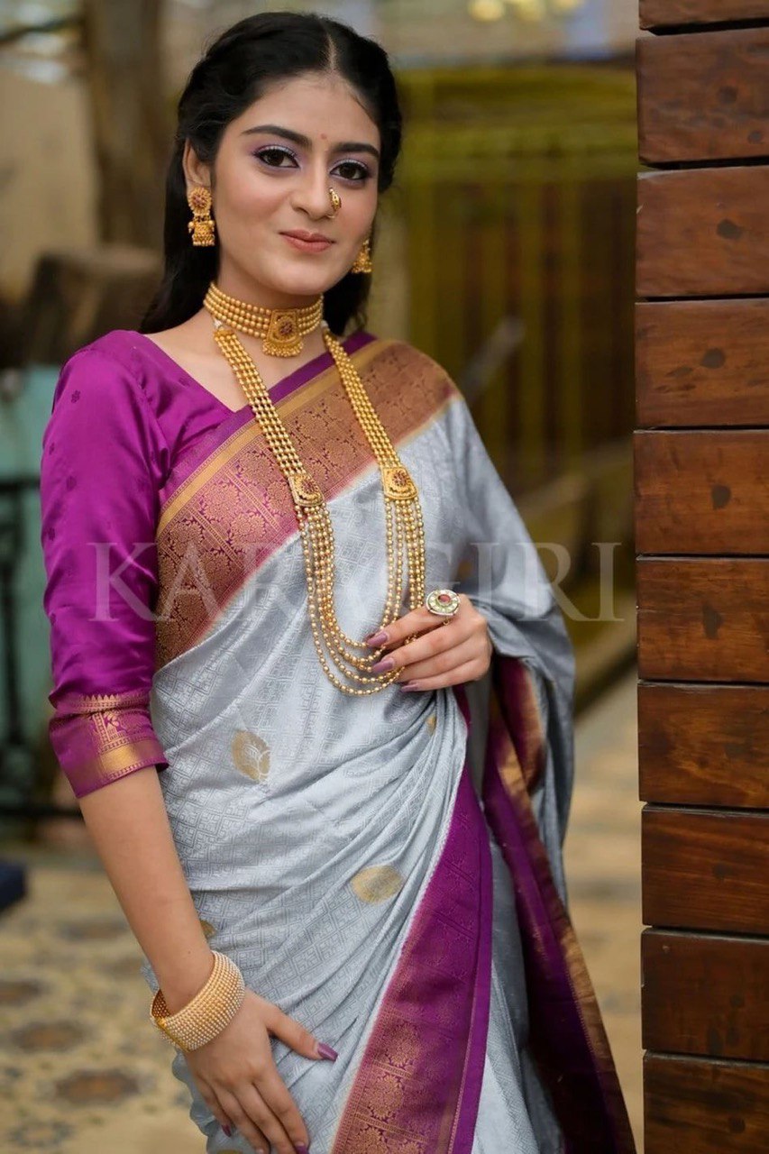 Grey Zari Woven Banarasi Soft Silk Jacquard by Icultuer