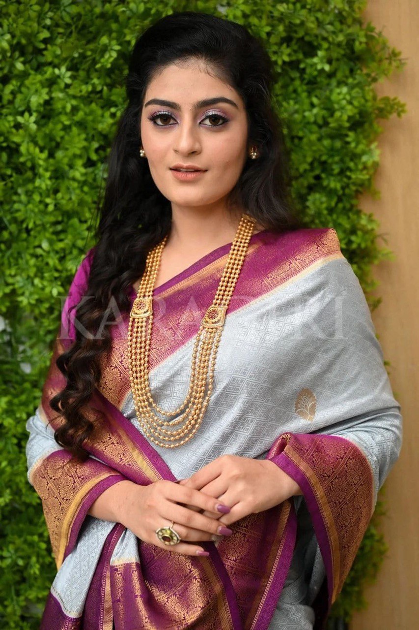 Grey Zari Woven Banarasi Soft Silk Jacquard by Icultuer