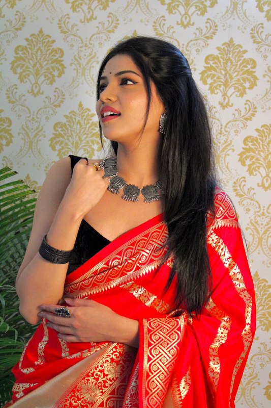 Red Heavy Zari Weaving Banarasi Soft Silk by Icultuer