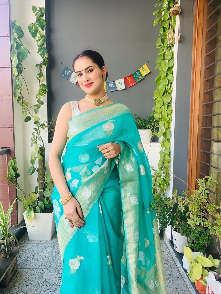 Woven Bollywood Organza by Icultuer  (Light Blue)