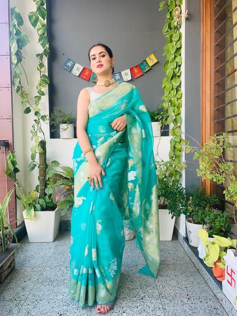 Woven Bollywood Organza by Icultuer  (Light Blue)