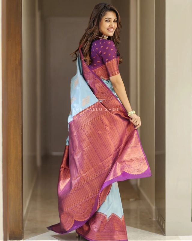 Soft Silk Banarasi Sky Color by Icultuer with Kawda Technique