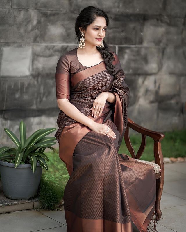 Brown Zigzag Woven Kanjivaram Soft Silk Jacquard by Icultuer