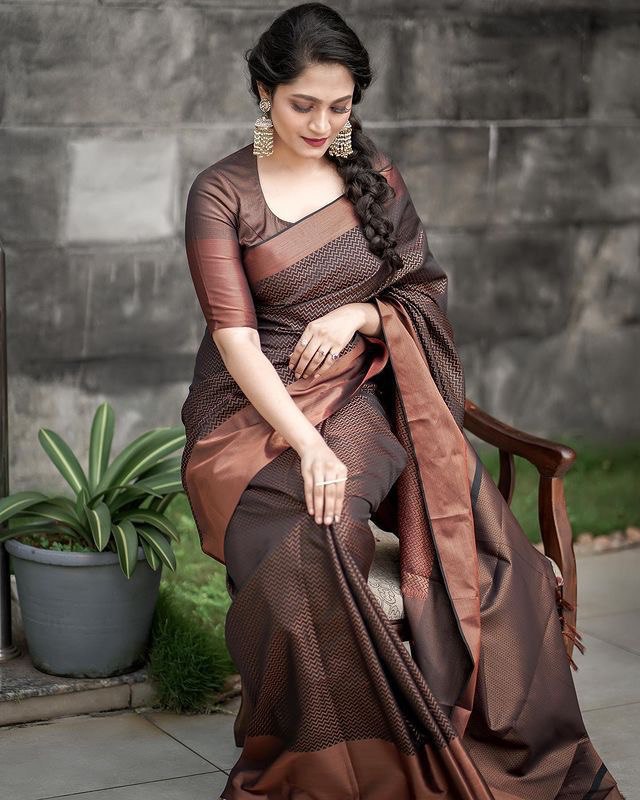 Brown Zigzag Woven Kanjivaram Soft Silk Jacquard by Icultuer