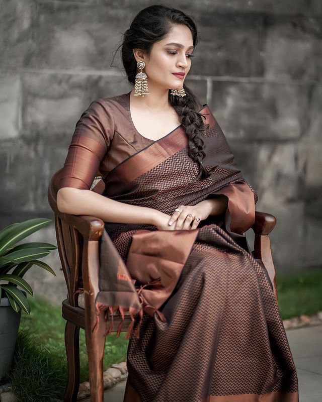 Brown Zigzag Woven Kanjivaram Soft Silk Jacquard by Icultuer