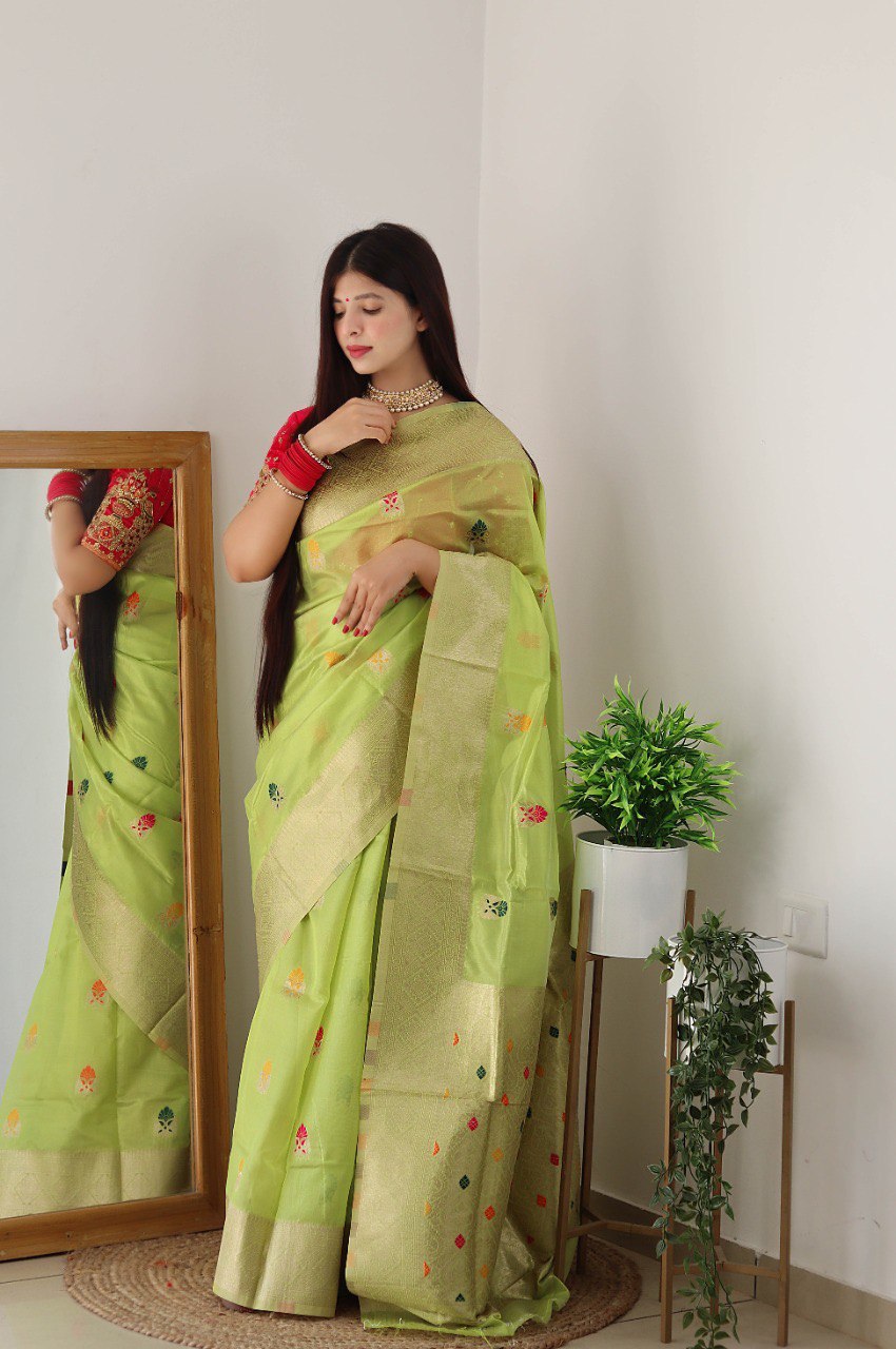 Pista Hand Woven Organza Soft Silk by Icultuer for Women