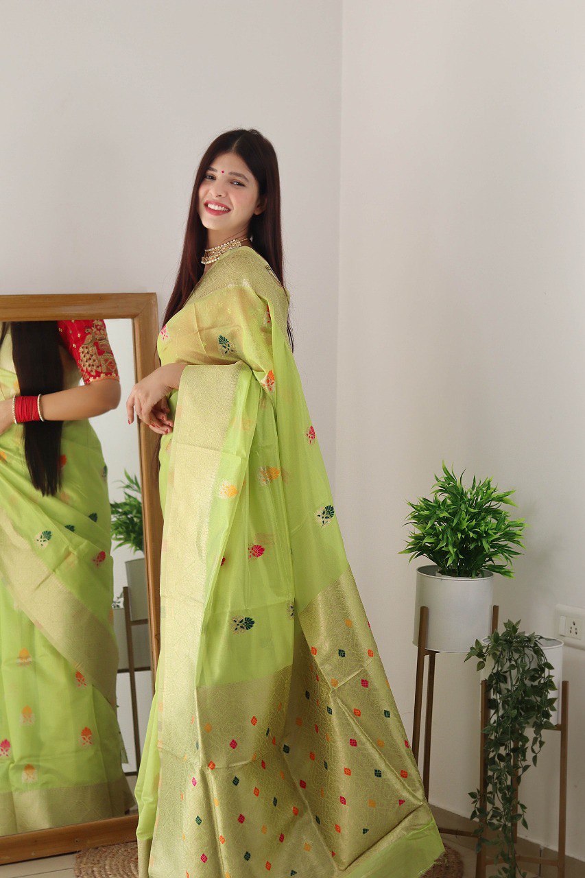 Pista Hand Woven Organza Soft Silk by Icultuer for Women