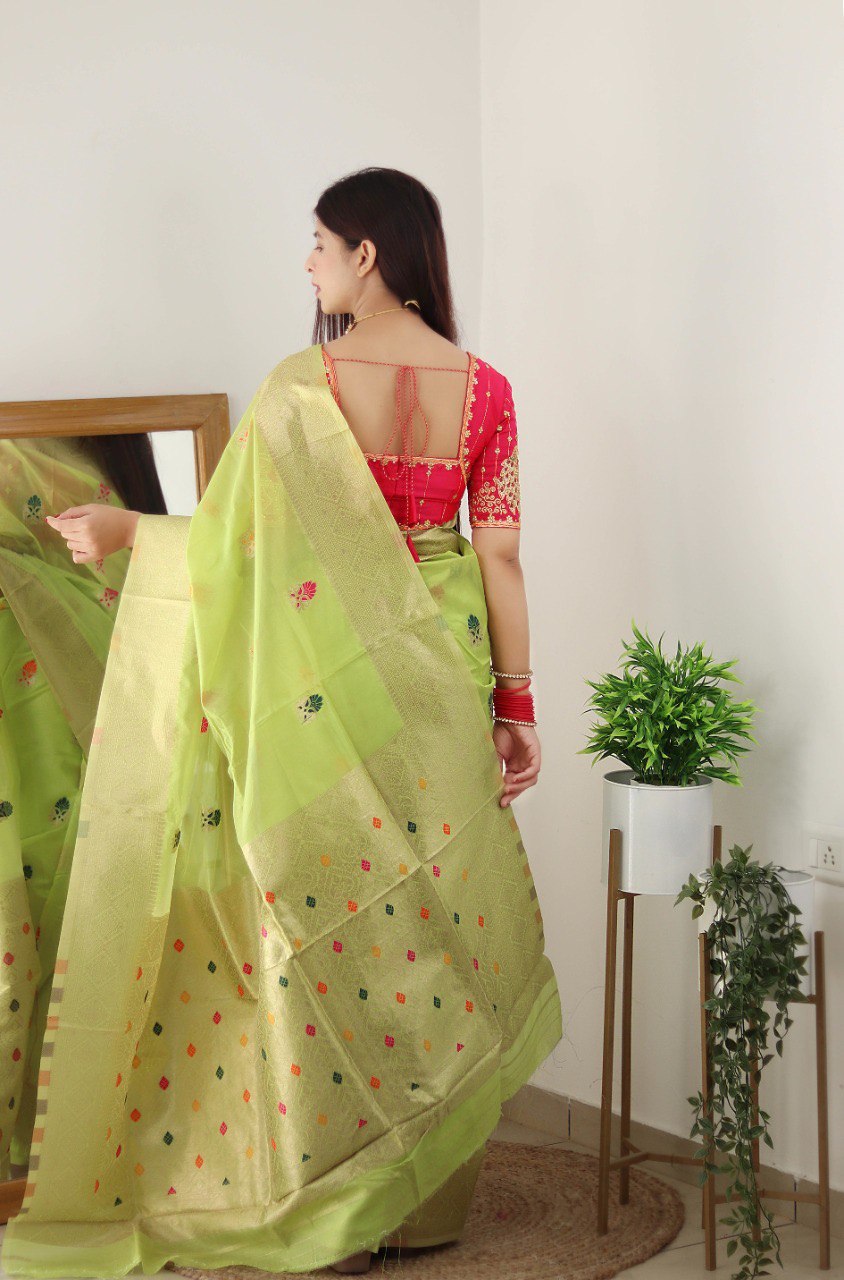 Pista Hand Woven Organza Soft Silk by Icultuer for Women