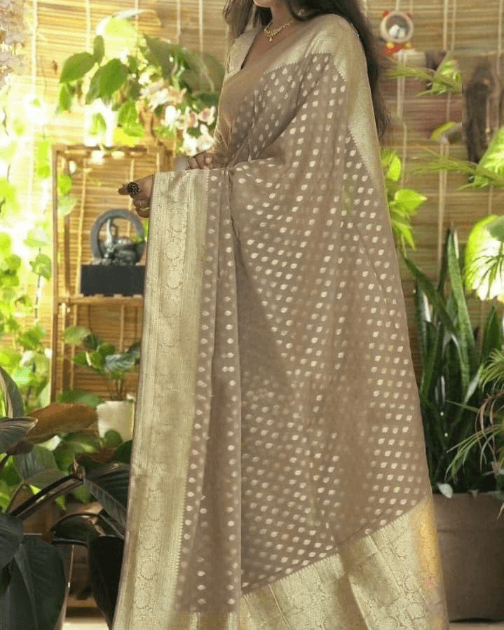 Exclusive Crepe Silk Saree with Rich Zari Pallu & Contrast Blouse