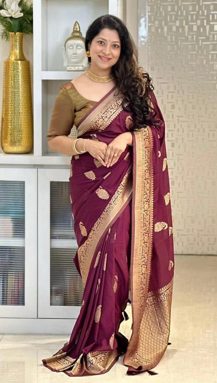 Banarasi Soft Silk Saree in icultural