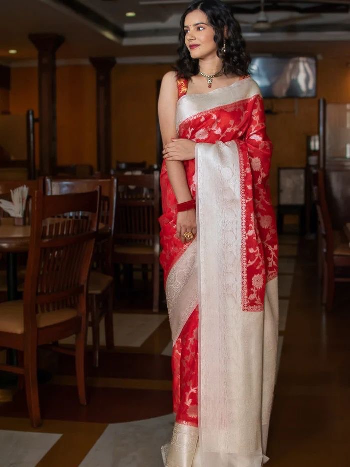 White & Red Banarasi by Icultuer With Jacquard Work Border